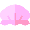 Shower Caps